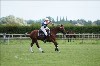 UKPA NC SAT_2696